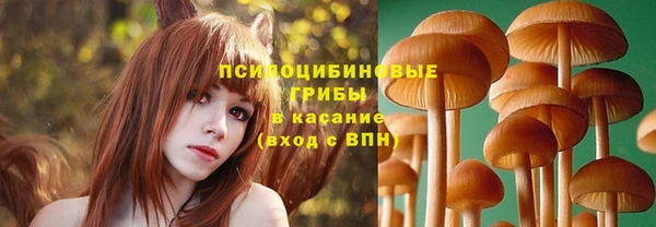 круглые Пересвет