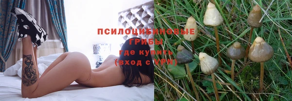 бутират Баксан