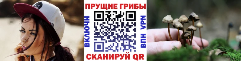 Галлюциногенные грибы Cubensis где найти MEGA как войти Верхоянск